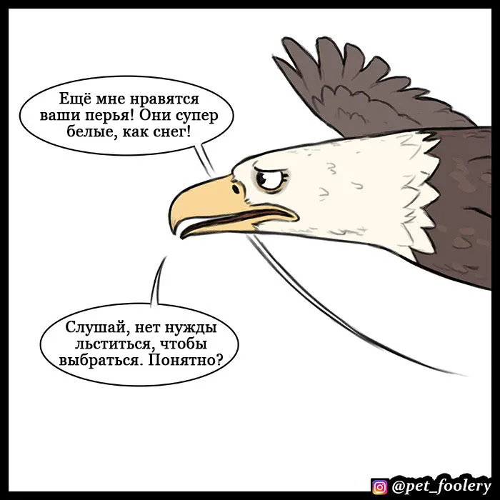 Pixie & Brutus - Eagle part 2 #2