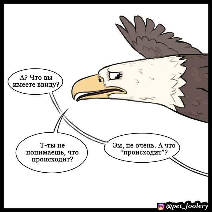 Pixie & Brutus - Eagle part 2 #3
