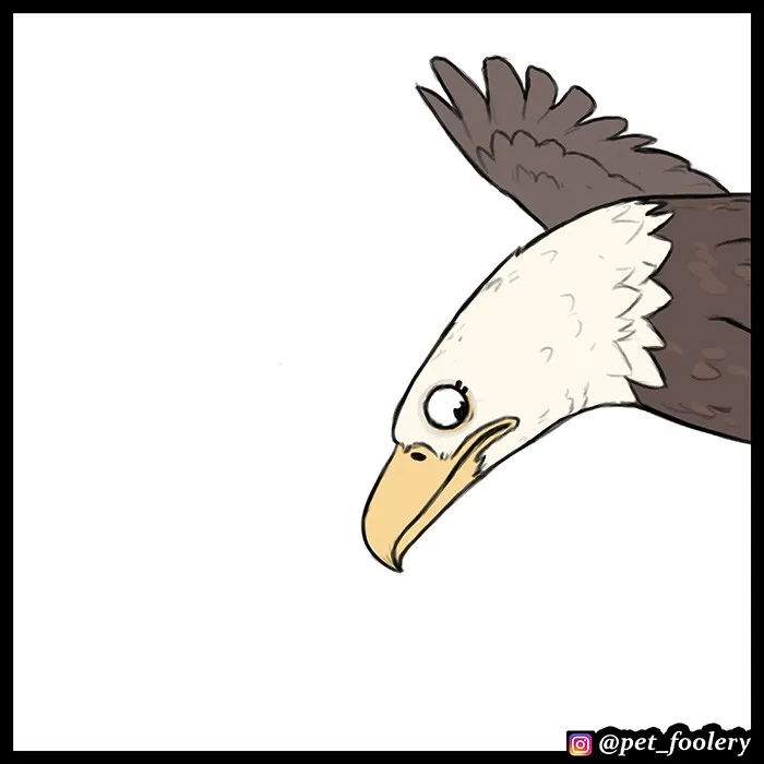 Pixie & Brutus - Eagle part 2 #4