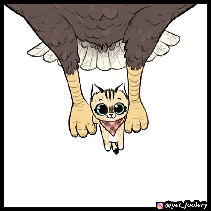 Pixie & Brutus - Eagle part 2 #5
