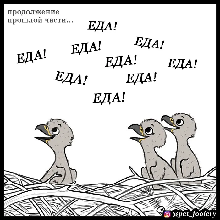 Pixie & Brutus - Eagle part 3 #1