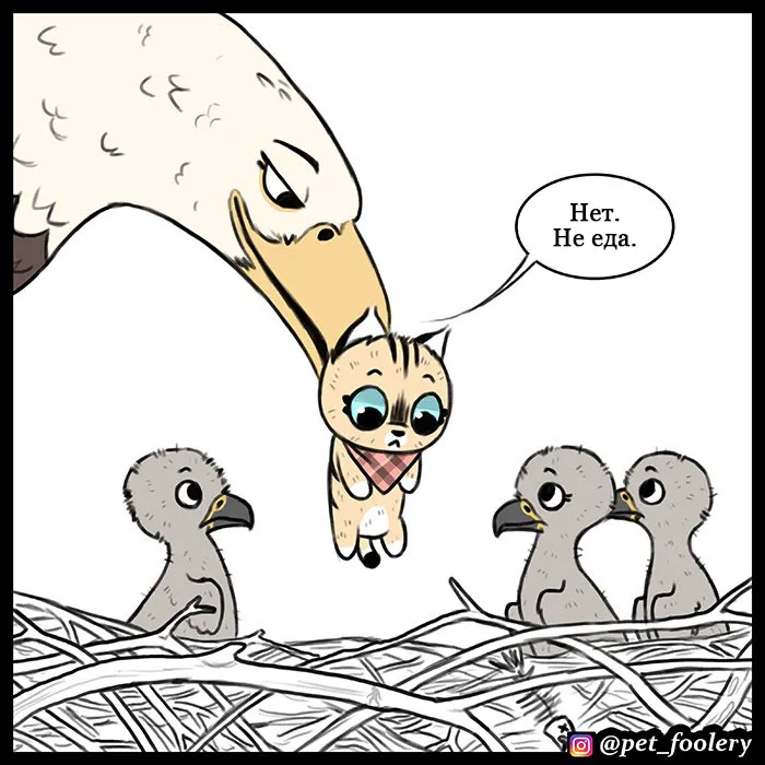 Pixie & Brutus - Eagle part 3 #2