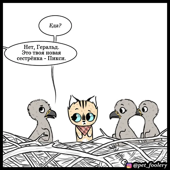 Pixie & Brutus - Eagle part 3 #3