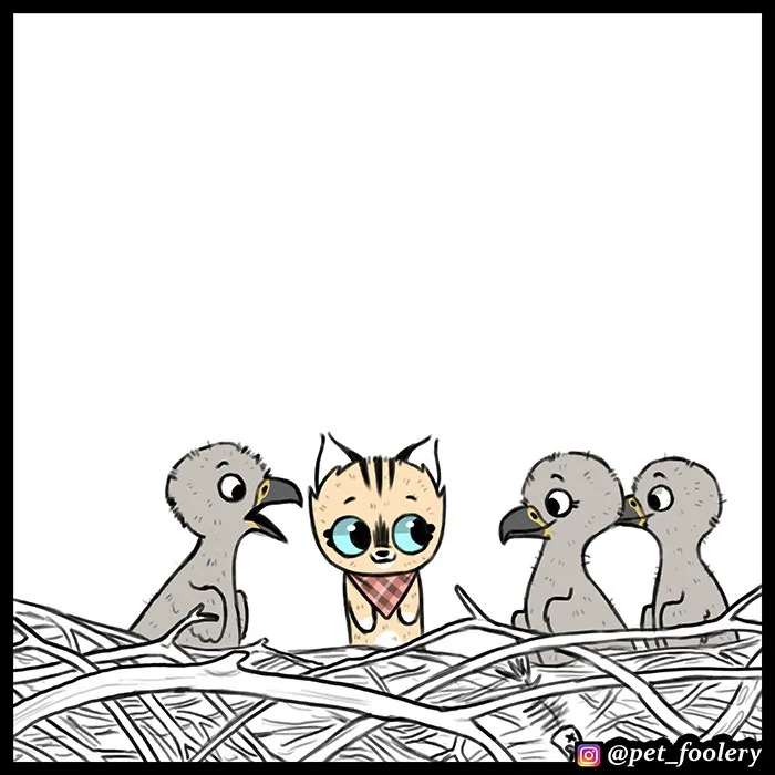 Pixie & Brutus - Eagle part 3 #5