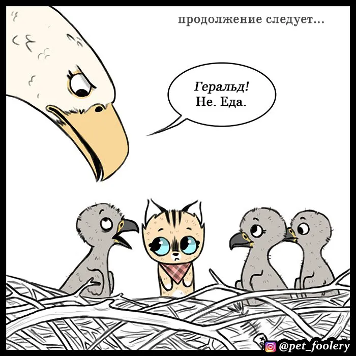 Pixie & Brutus - Eagle part 3 #6