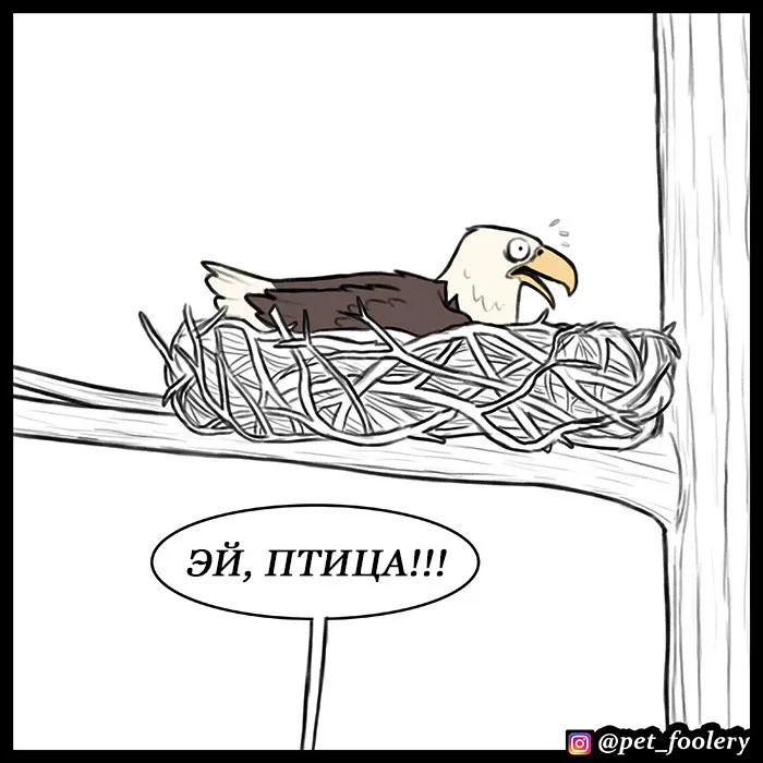 Pixie & Brutus - Eagle part 4 #2