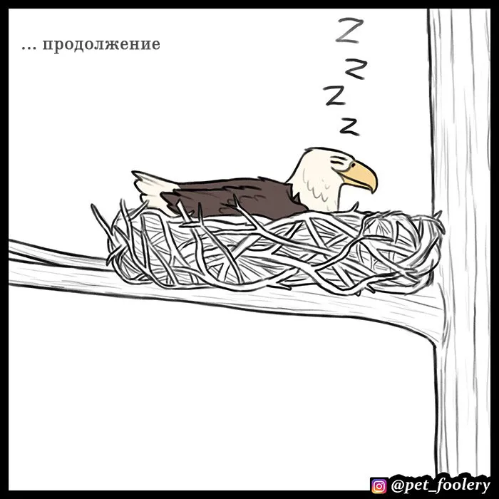 Pixie & Brutus - Eagle part 4 #1