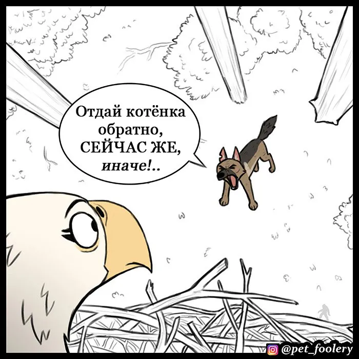 Pixie & Brutus - Eagle part 4 #3