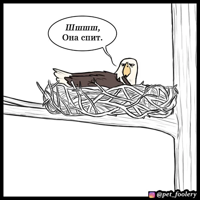 Pixie & Brutus - Eagle part 4 #4
