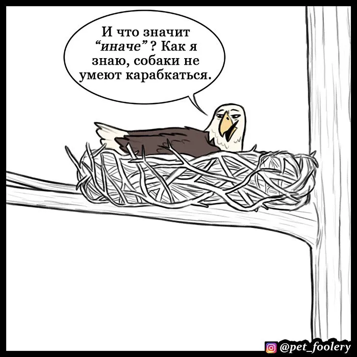 Pixie & Brutus - Eagle part 4 #5