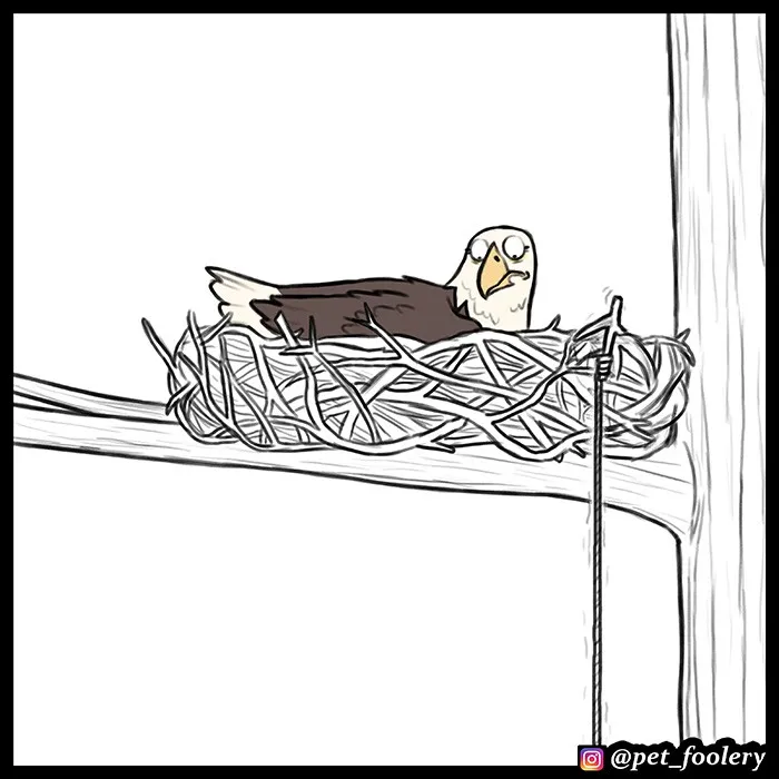 Pixie & Brutus - Eagle part 4 #7