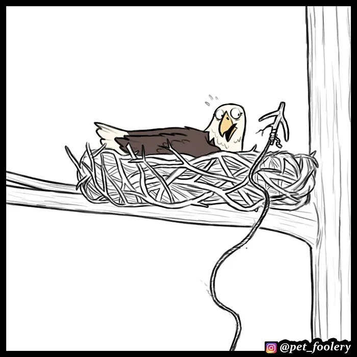Pixie & Brutus - Eagle part 4 #6