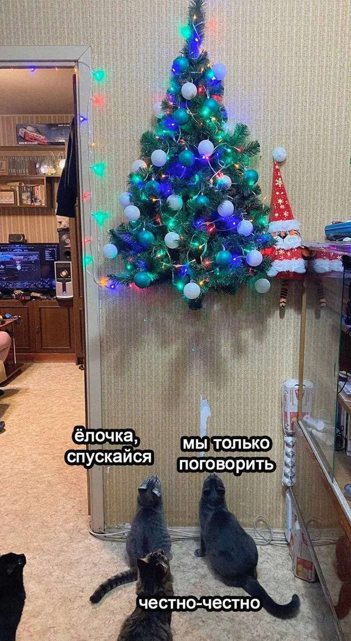 Ёлочка, спускайся #1