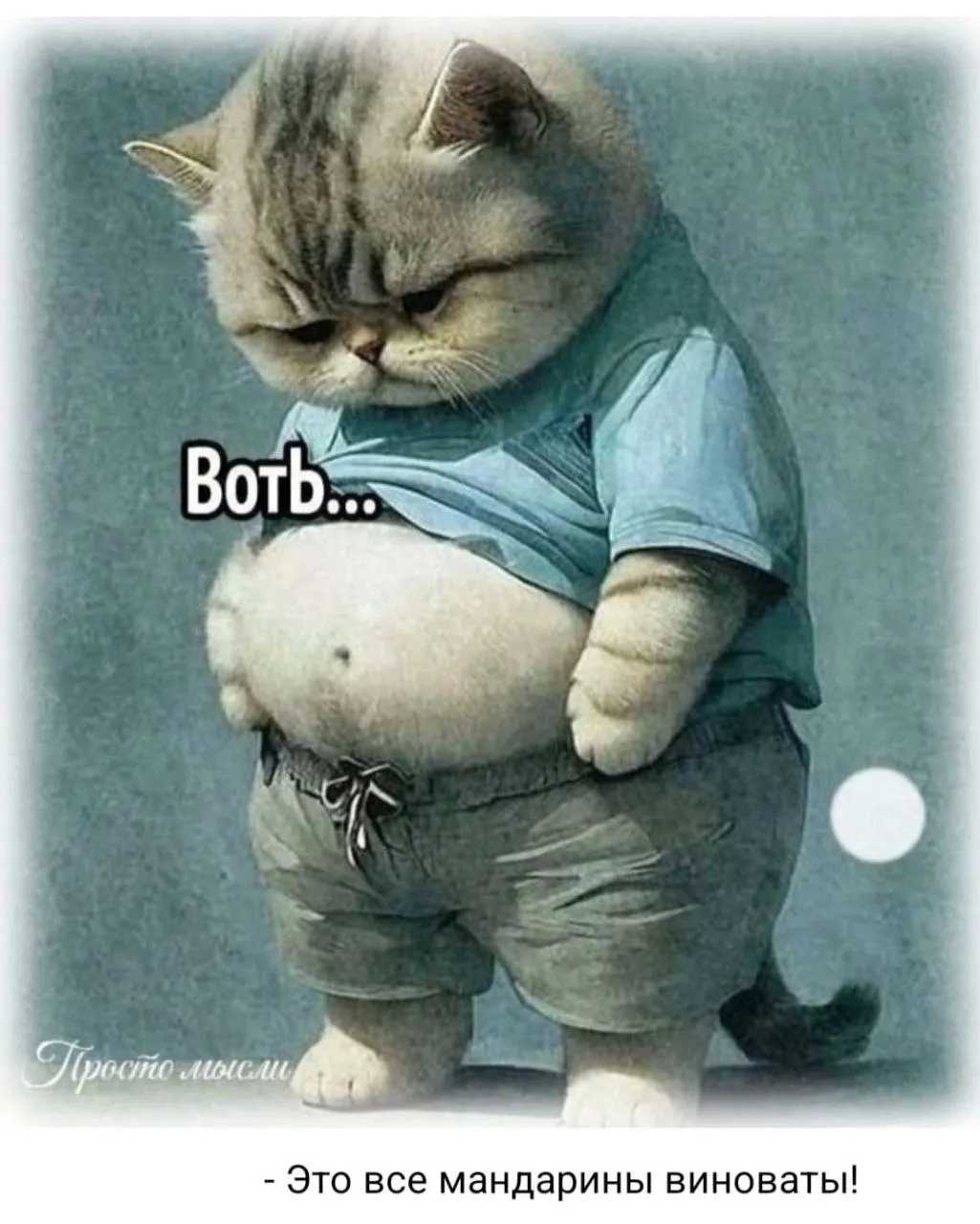 ВотЬ #1