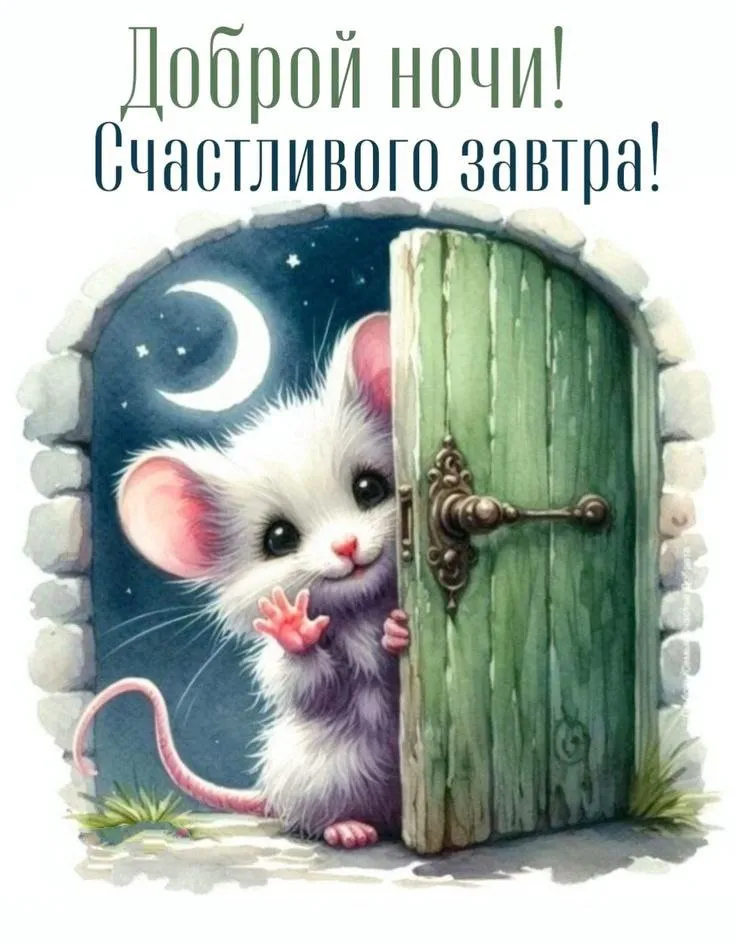 Доброй ночи! #1