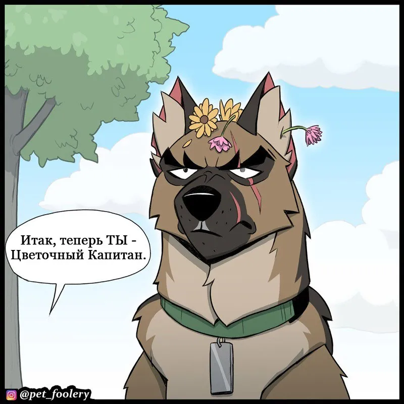 Pixie & Brutus - Flower Captain (2023.01.23) #1