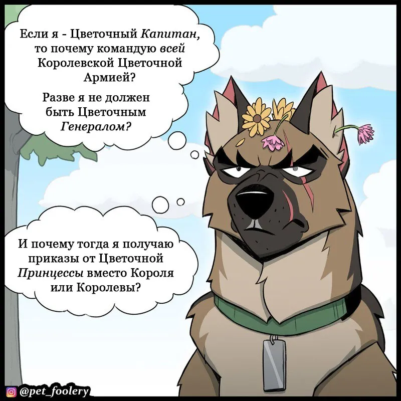 Pixie & Brutus - Flower Captain (2023.01.23) #5