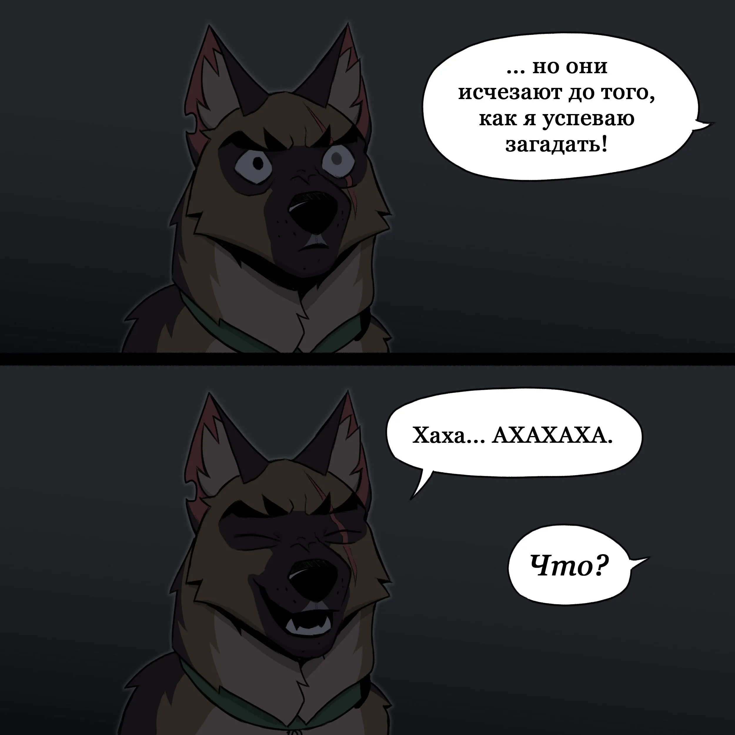Pixie & Brutus - Shooting star (2023.01.25) #5