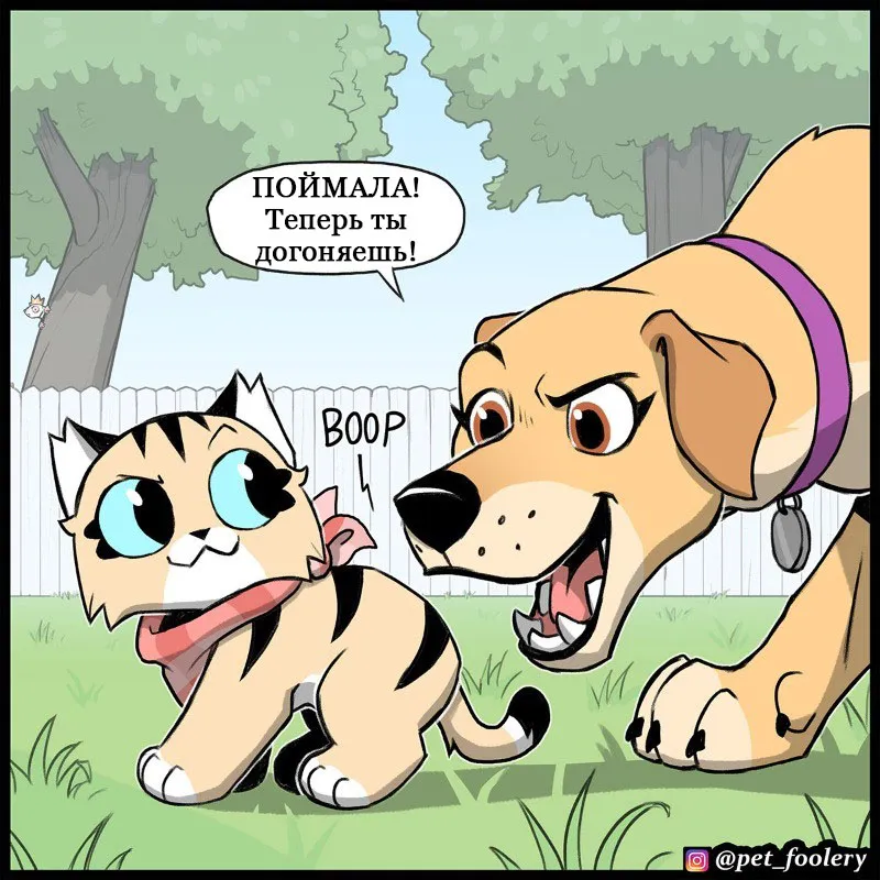 Pixie & Brutus - Tag #1