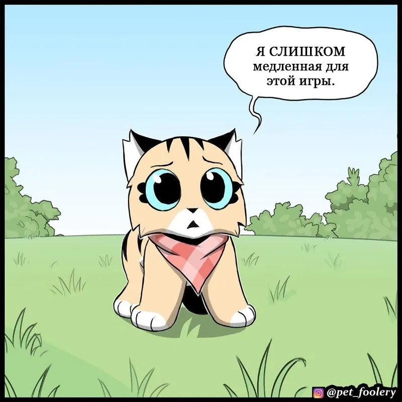 Pixie & Brutus - Tag #3