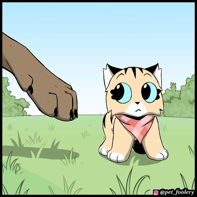 Pixie & Brutus - Tag #4
