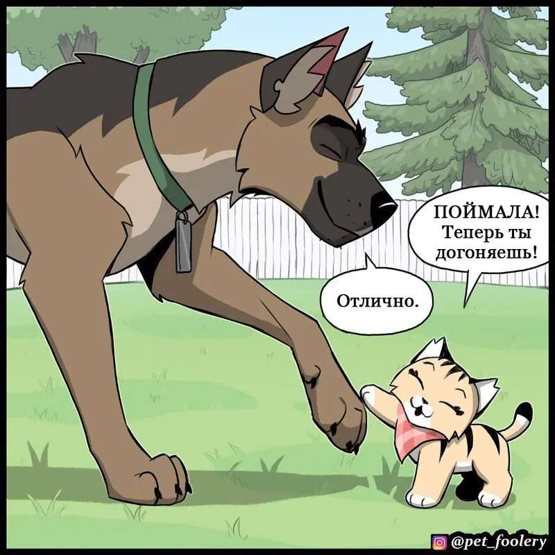 Pixie & Brutus - Tag #5