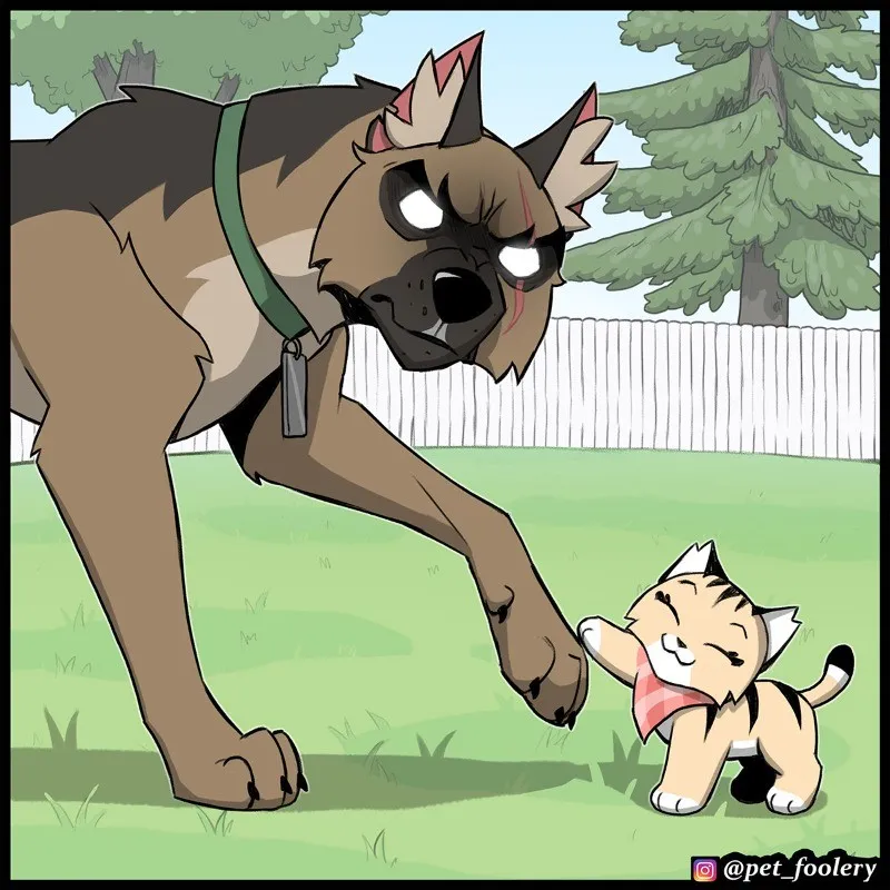 Pixie & Brutus - Tag #6