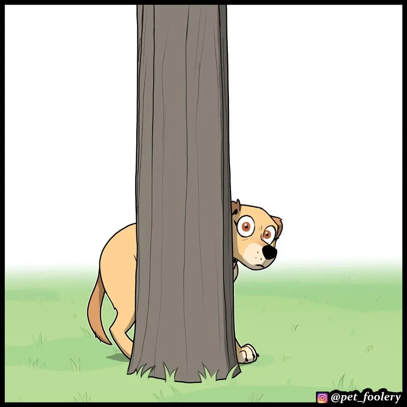 Pixie & Brutus - Tag #7