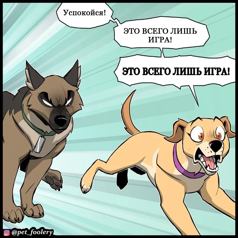 Pixie & Brutus - Tag #8