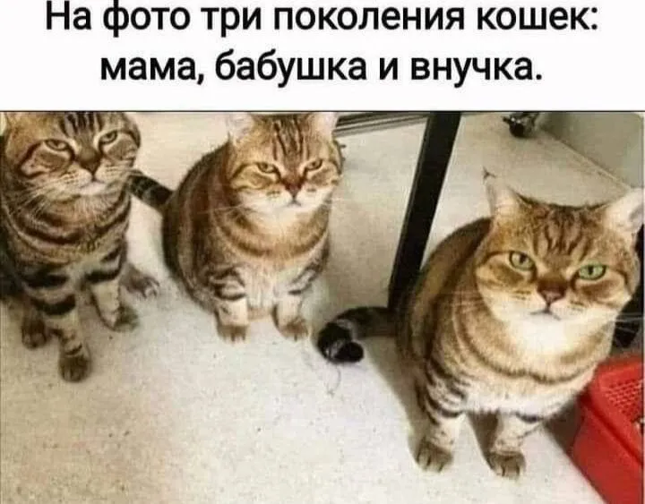 Наследственность #2