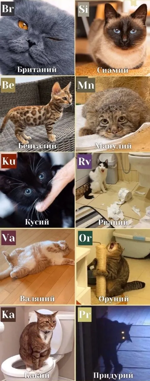 Периодическая таблица #1