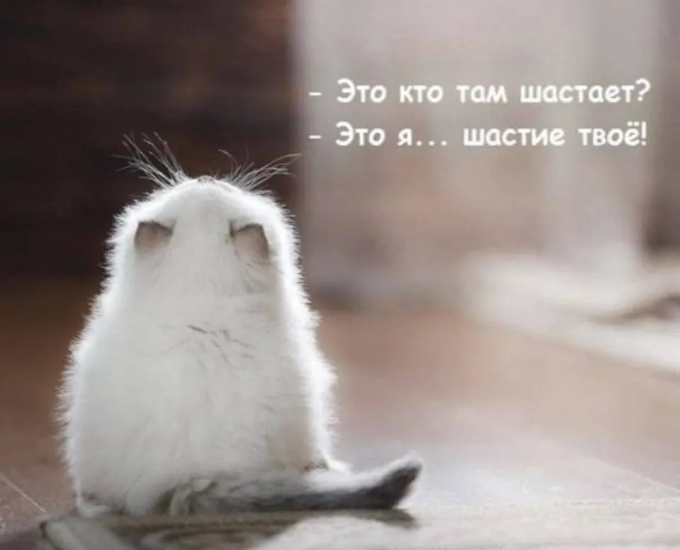 Мышилаем счастья вам 🥰 #1