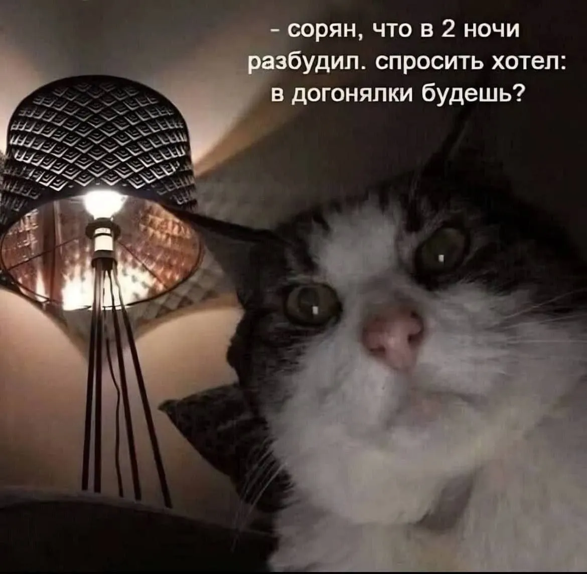 Я только спросить #1