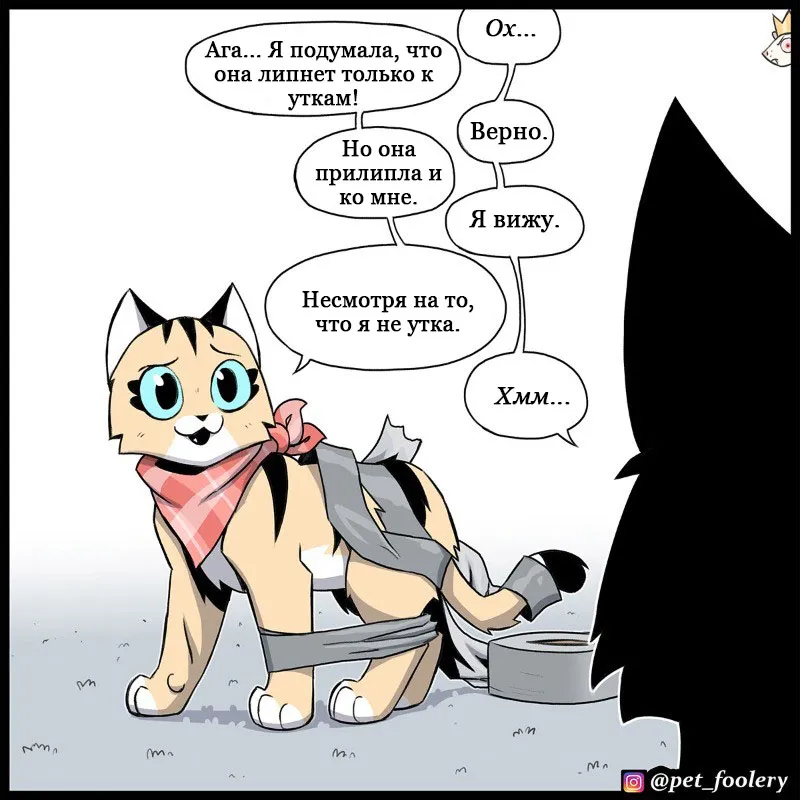 Pixie & Brutus - Duct Tape (2023.03.07) #4
