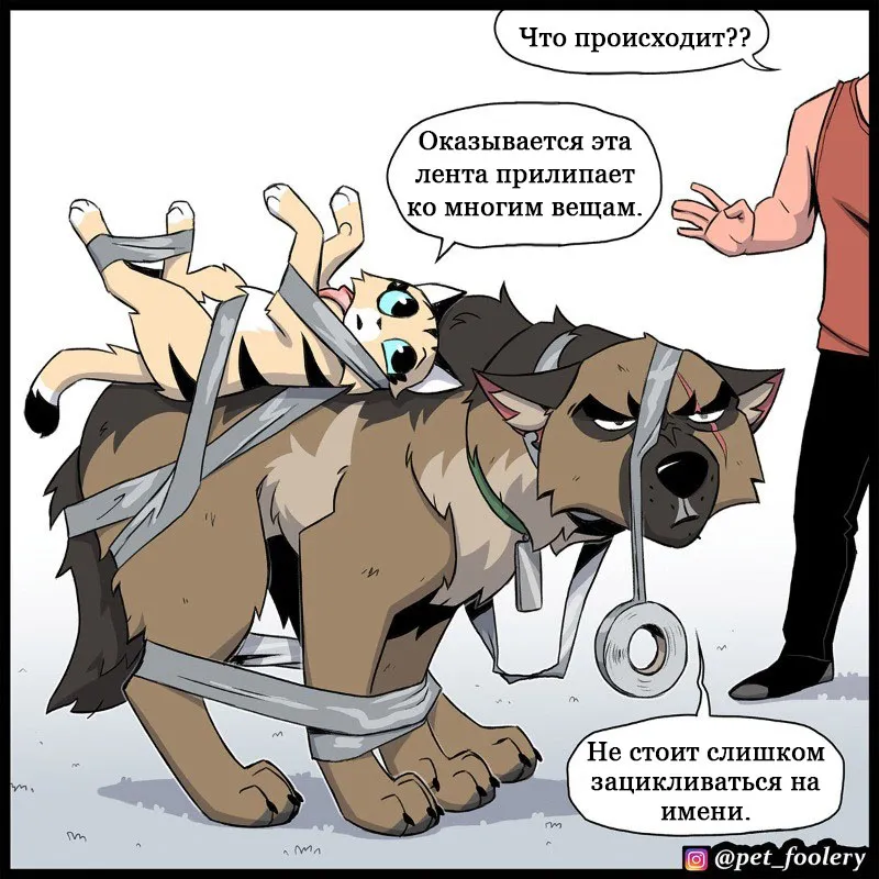 Pixie & Brutus - Duct Tape (2023.03.07) #6