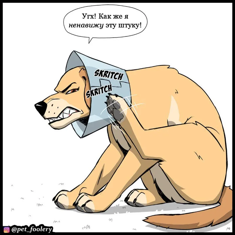 Pixie & Brutus - Cone (2023.03.16) #1