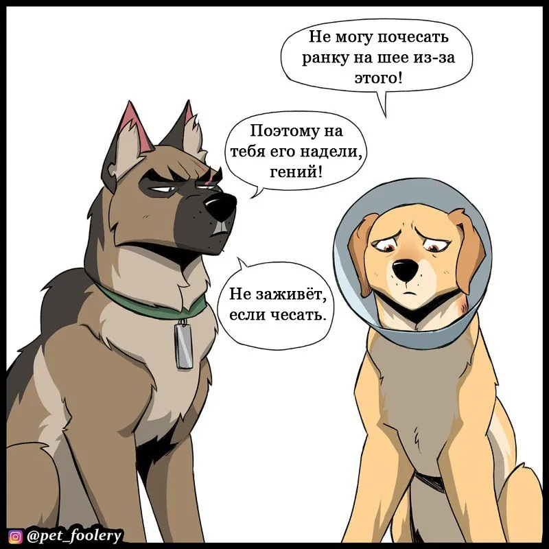 Pixie & Brutus - Cone (2023.03.16) #2