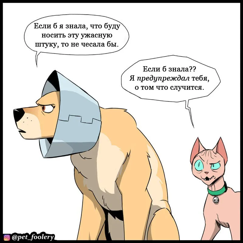Pixie & Brutus - Cone (2023.03.16) #3