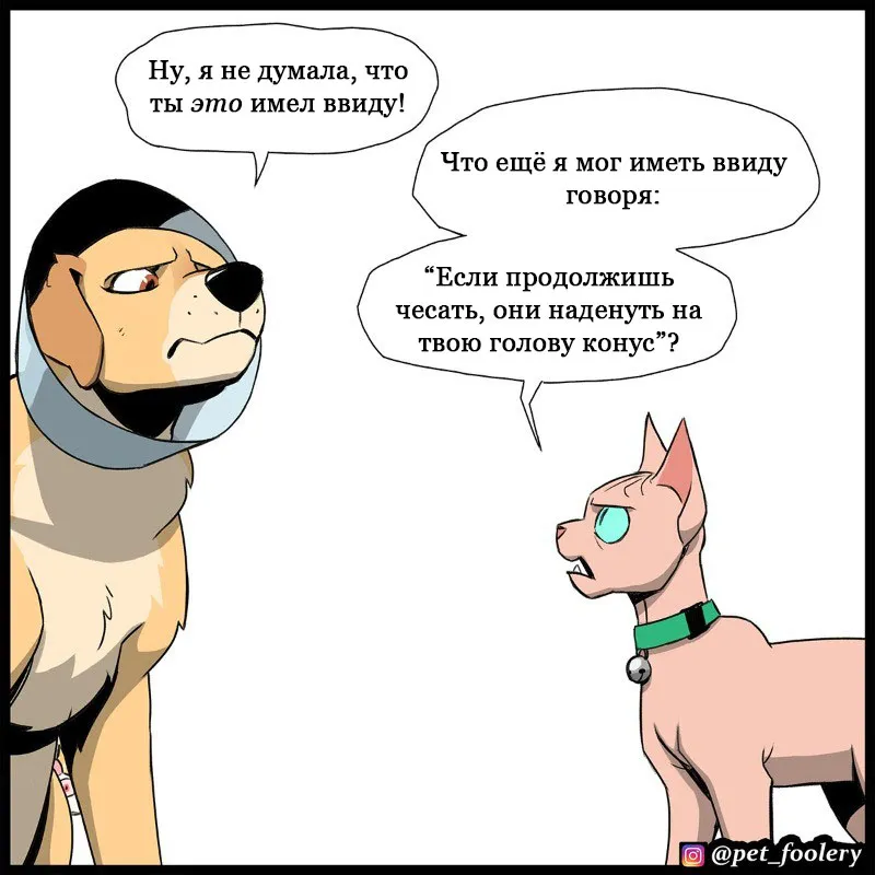 Pixie & Brutus - Cone (2023.03.16) #4
