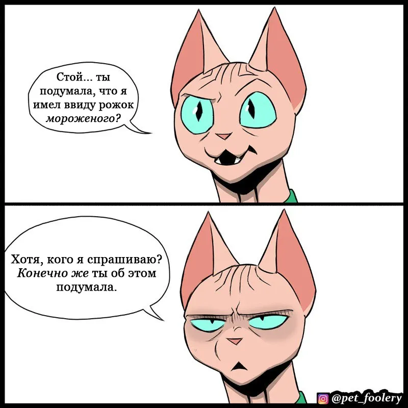 Pixie & Brutus - Cone (2023.03.16) #5