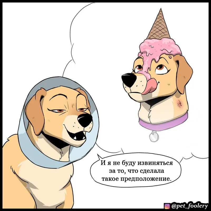 Pixie & Brutus - Cone (2023.03.16) #6
