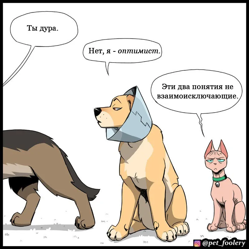 Pixie & Brutus - Cone (2023.03.16) #7