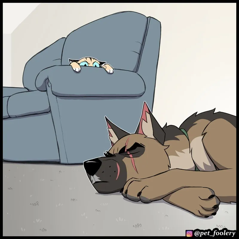 Pixie & Brutus - Surprise Staring Contest #1