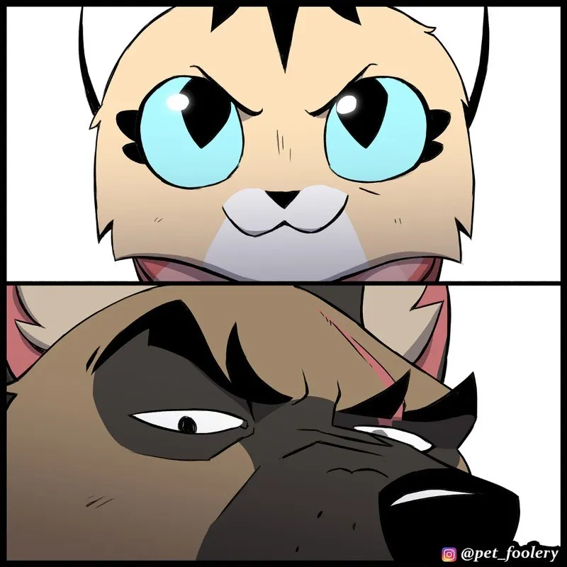 Pixie & Brutus - Surprise Staring Contest #3