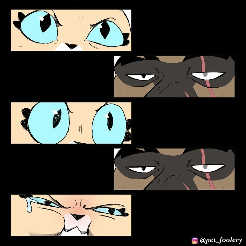 Pixie & Brutus - Surprise Staring Contest #6