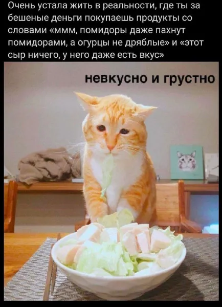 Суровая реальность больших городов #1