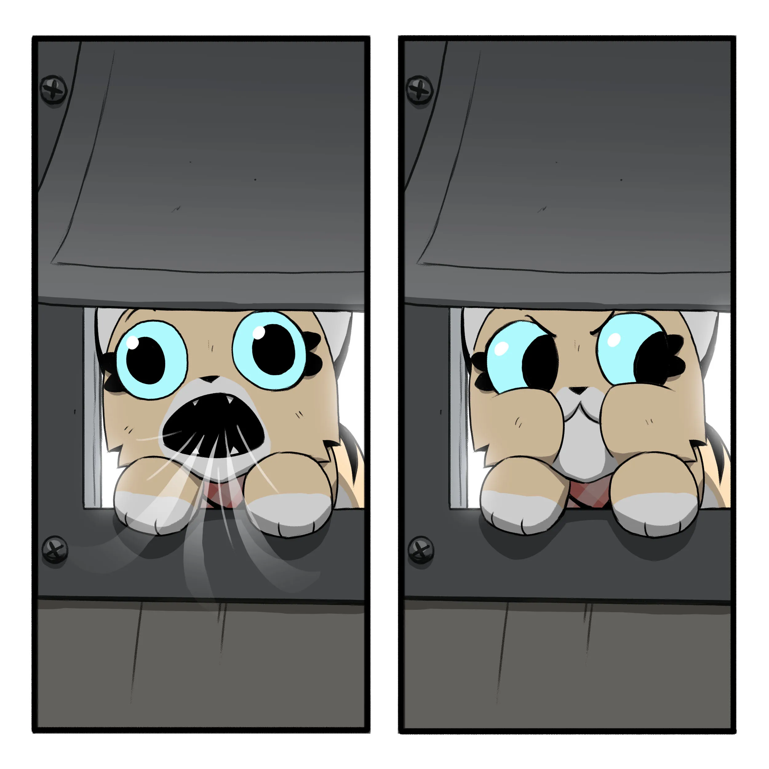 Pixie & Brutus - Breath (2023.04.11) #1