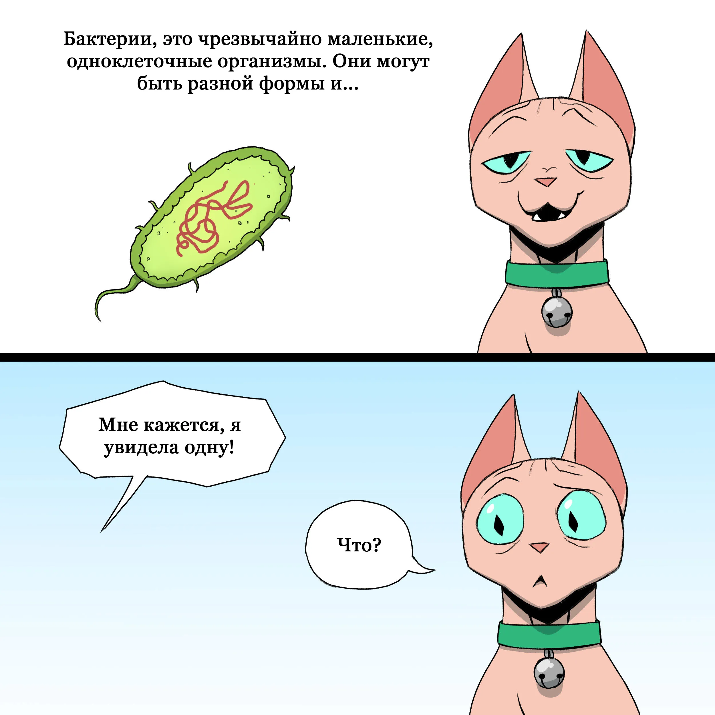 Pixie & Brutus - Mite (2023.04.26) #3