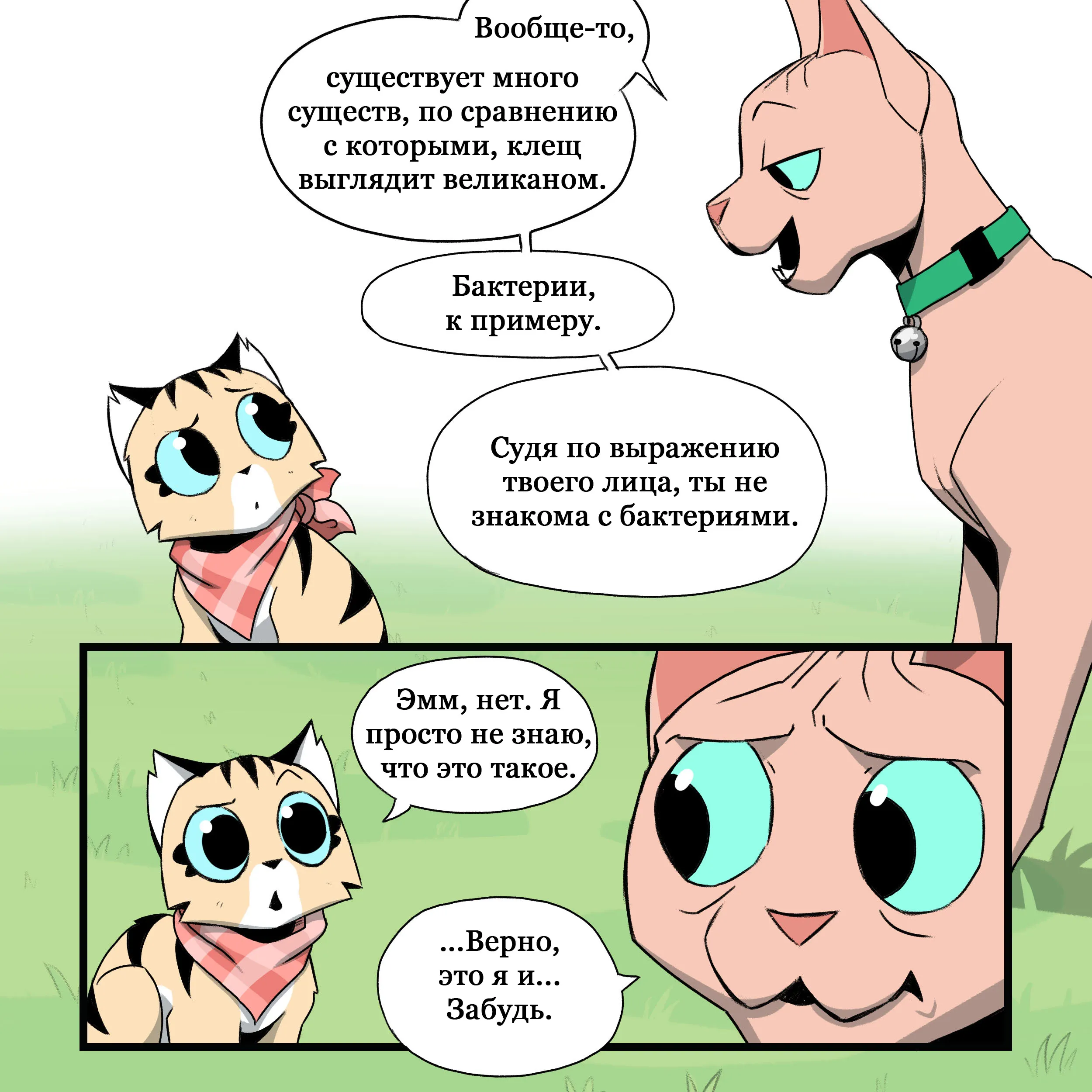 Pixie & Brutus - Mite (2023.04.26) #2