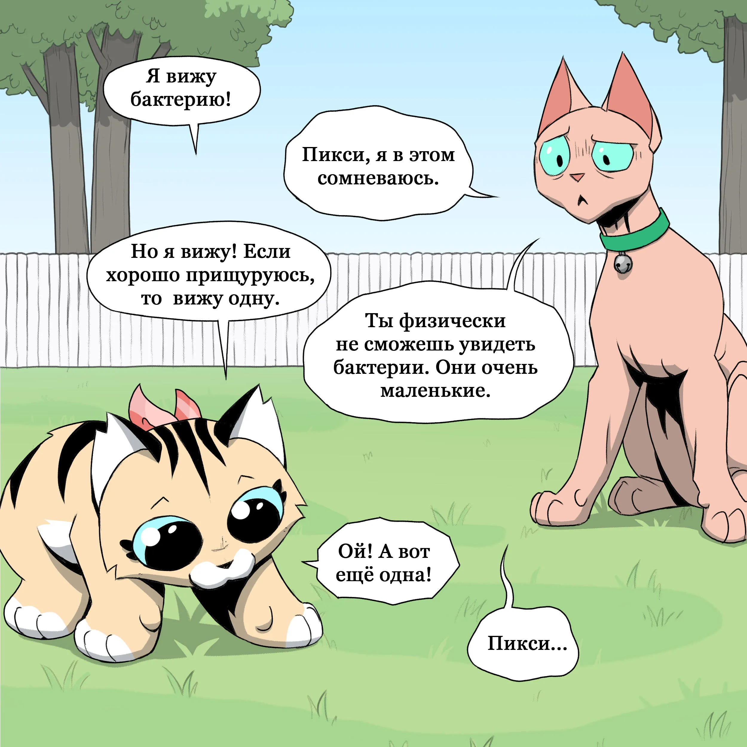 Pixie & Brutus - Mite (2023.04.26) #4